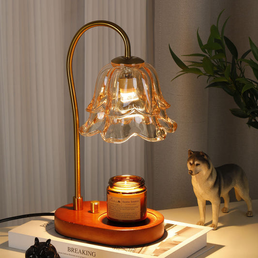 Lampe d’Ambiance Fragrance sans Feu