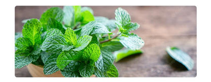 CéramiLuxe – Bougie d’Aromathérapie